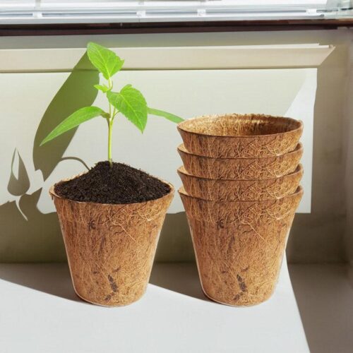 Alsa Coir Pot - Set Of Five