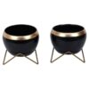 Apple Dun Planter (Black) - Set Of Two