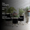 Aslana Kina Planter (Black) - Set Of Three