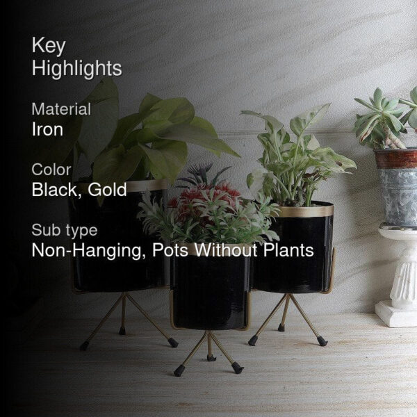Aslana Kina Planter (Black) - Set Of Three