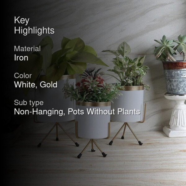 Aslana Kina Planter (White) - Set Of Three