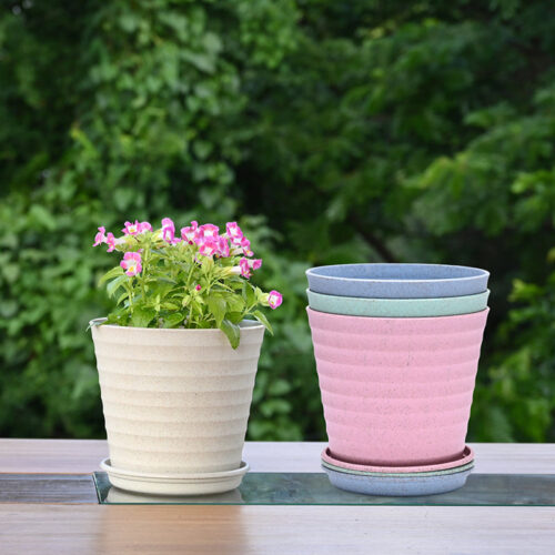 Botani Basin Pot - Set Of Four