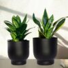 Bromo Metal Planter (Balck) - Set Of Two