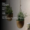 Capsule Caro Planter - Set Of Two