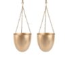 Capsule Caro Planter - Set Of Two