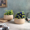 Chlo Iron Planter (Beige) - Set Of Two