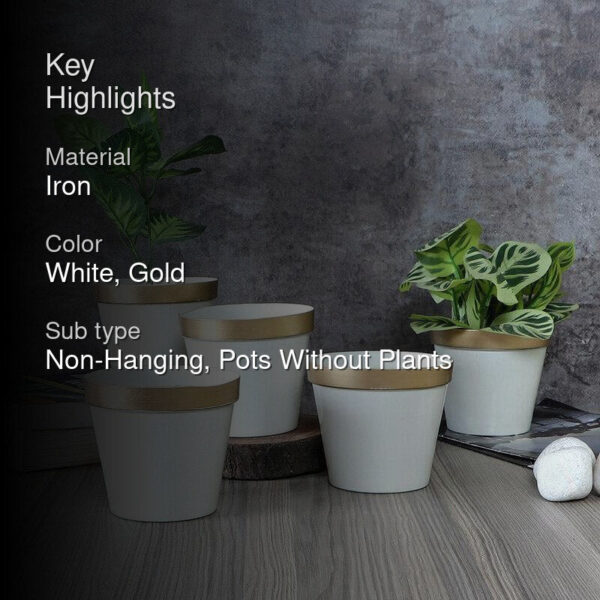 Darla Dose Planter - Set Of Five