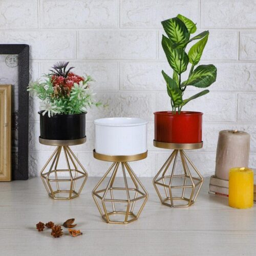 Diamond Ring Planter - Set Of Three