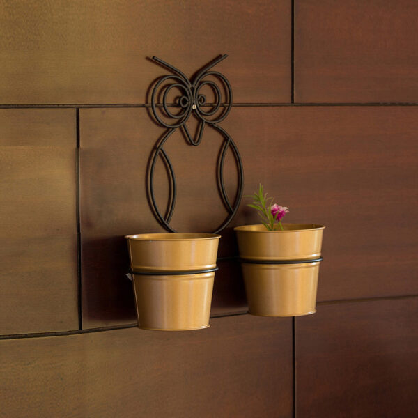 Double Hoot Wall Planter - Set Of Three Double Hoot Wall Planter - Set Of Three