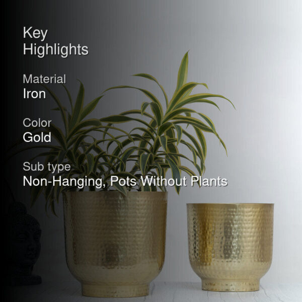 Edo Hammered Golden Planter (Gold) - Set Of Two Edo Hammered Golden Planter (Gold) - Set Of Two