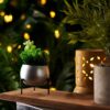 Eukene Metal Planter - Silver