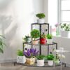 Florma Planter Stand