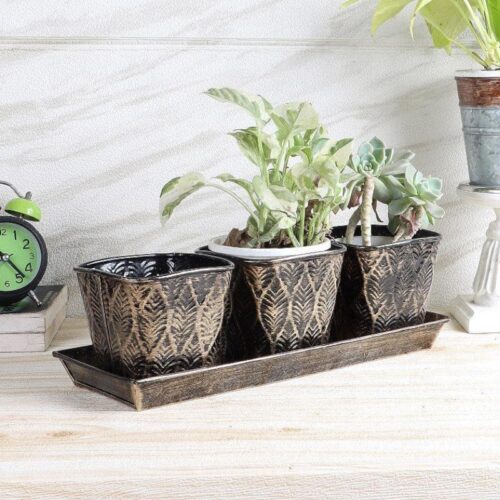 Gajro Gun Planter - Set Of Four