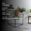 Gingera Jolly Planter - White
