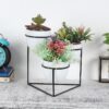 Gingera Jolly Planter - White