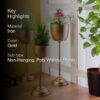 Goblet Gala Planter - Set Of Three