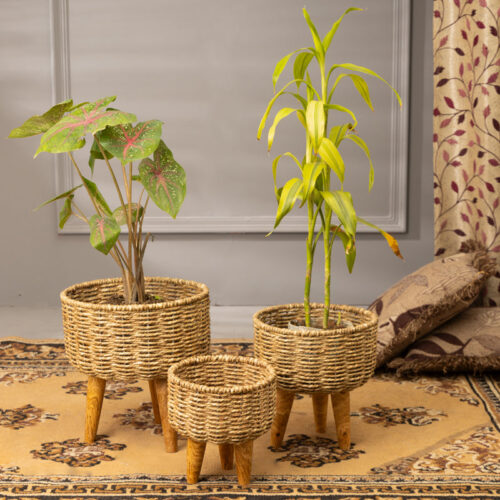 Heartha Jute Planter (Brown) - Set Of Three