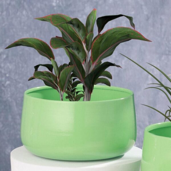 Helena Hue Planter (Green) - Set Of Two Helena Hue Planter (Green) - Set Of Two