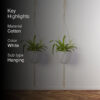 Lasya Macrame Planter - Set Of Two