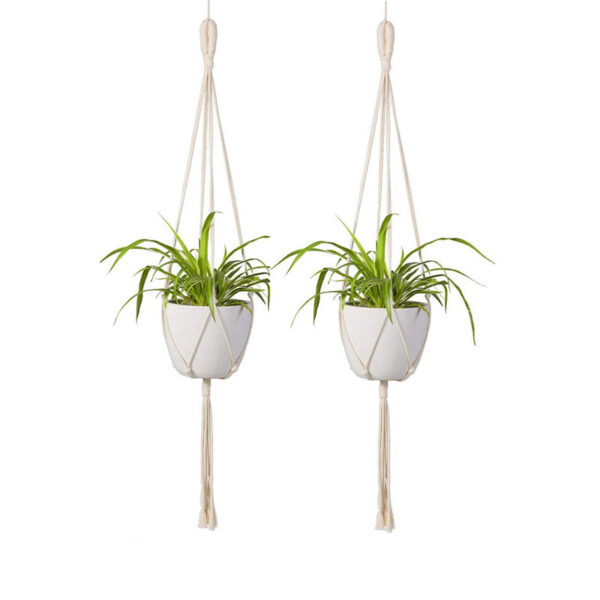 Lasya Macrame Planter - Set Of Two Lasya Macrame Planter - Set Of Two