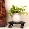Mandala Glow Planter Stand