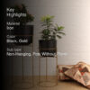 Milara Allure Planter (Black) - Set Of Two