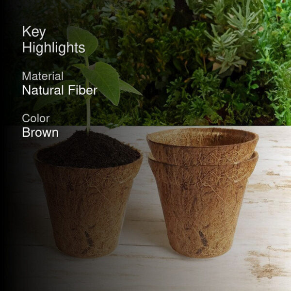 Miriya Coir Pot - Set Of Three Miriya Coir Pot - Set Of Three