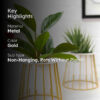 Muse Table Top Planter With Stand - Set Of Two