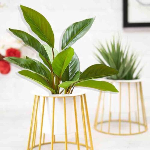 Muse Table Top Planter With Stand - Set Of Two