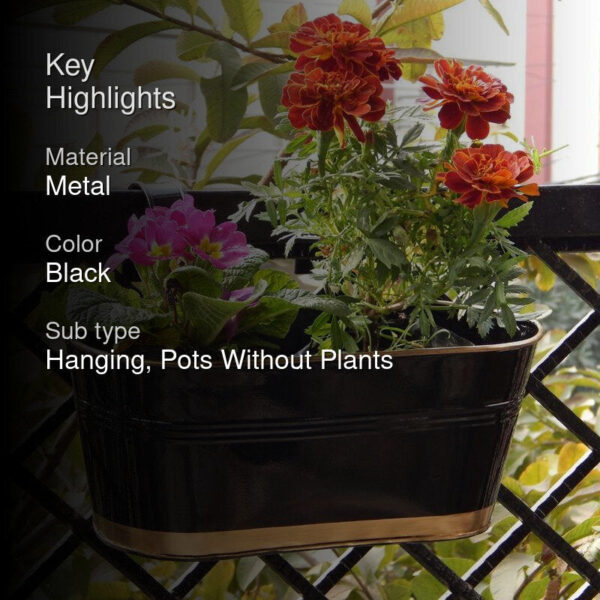 Norva Hanging Planter (Black) - Set Of Six