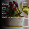 Norva Hanging Planter (White) - Set Of Six