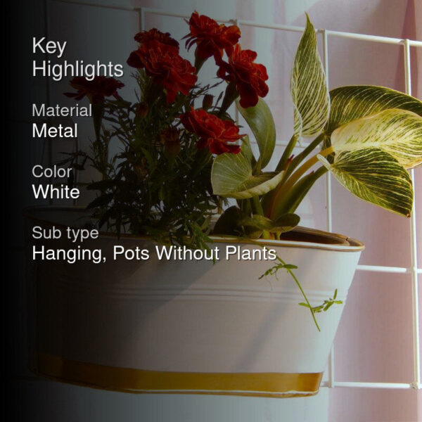 Norva Hanging Planter (White) - Set Of Six