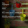 Polka Dots Hanging Planters Set