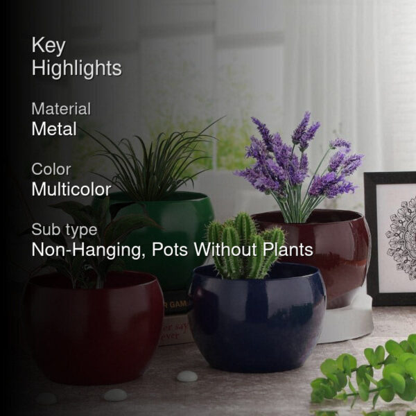 Porsho Fantasy Planter - Set Of Four Porsho Fantasy Planter - Set Of Four