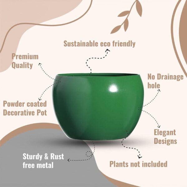 Porsho Fantasy Planter - Set Of Four Porsho Fantasy Planter - Set Of Four