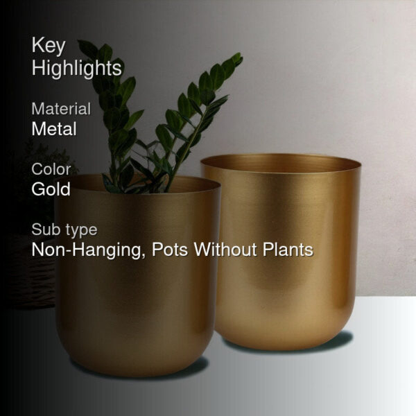 Ruba Neita Planter (Gold) - Set Of Two Ruba Neita Planter (Gold) - Set Of Two