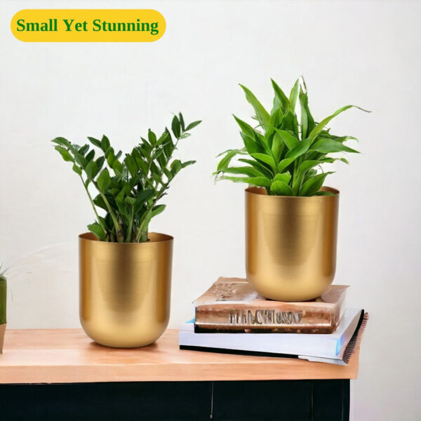 Ruba Neita Planter (Gold) - Set Of Two Ruba Neita Planter (Gold) - Set Of Two