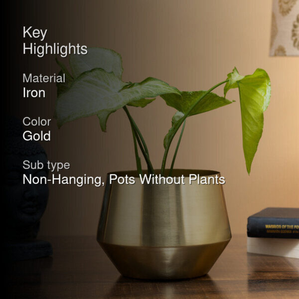 Simone Oak Planter Simone Oak Planter