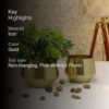 Simone Oak Planter (Gold) - Set Of Two