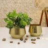 Simone Oak Planter (Gold) - Set Of Two