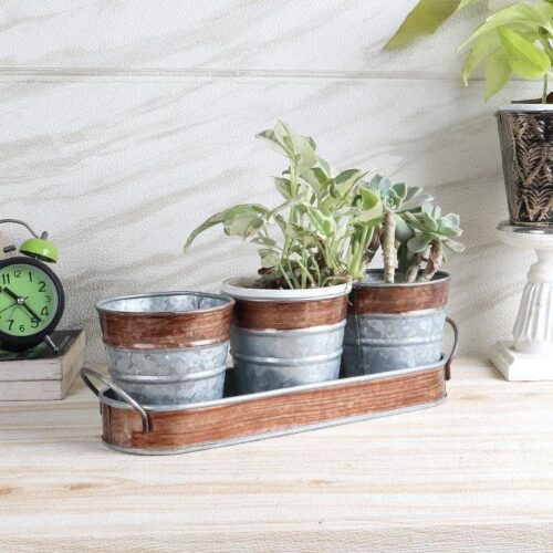 Sinora Sila Planter - Set Of Four