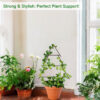 Sleek Pine Trellis - Black