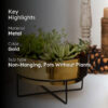 Sooty Patootie Planter-Gold
