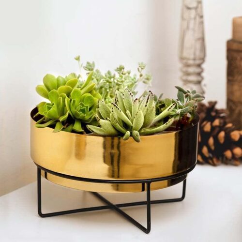 Sooty Patootie Planter-Gold