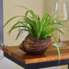 Terrapod Terracotta Planter - Set Of Two