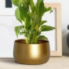 Utmi Golden Planter