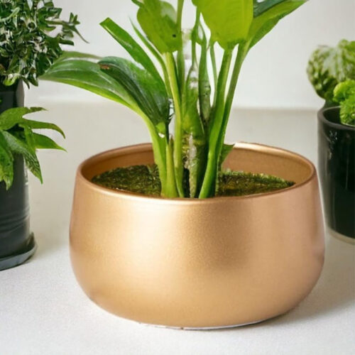 Utmi Golden Planter