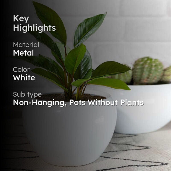 Whimsical White Planters - Set Of Two Whimsical White Planters - Set Of Two