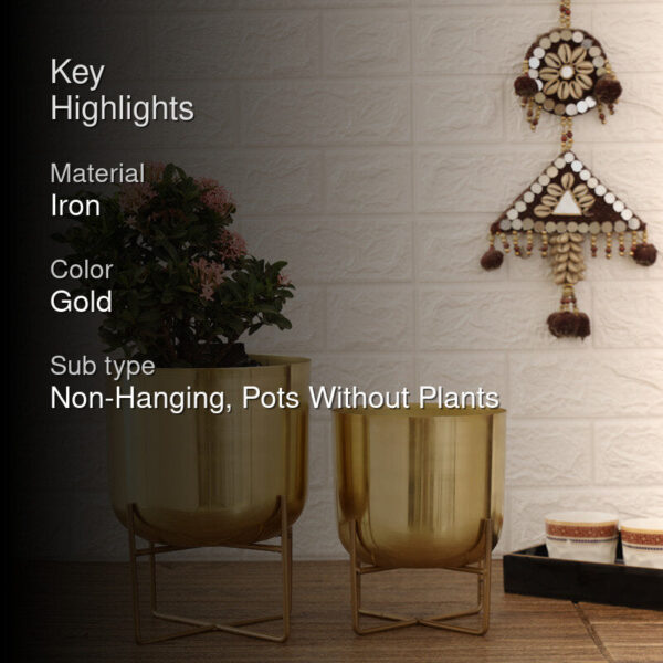 Zeren Olive Planter (Gold) - Set Of Two Zeren Olive Planter (Gold) - Set Of Two